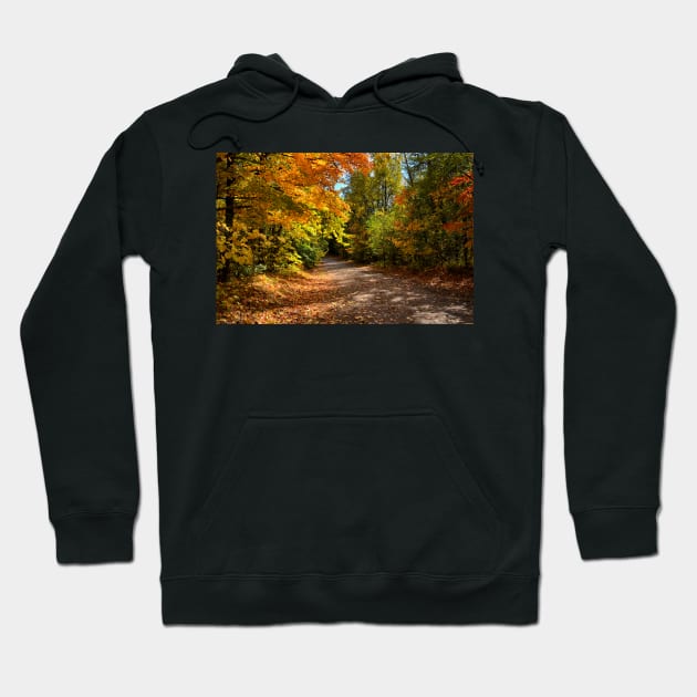 Take a Hike Hoodie by mariakeady